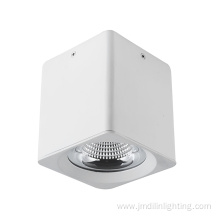 Led Exterior Ceiling Spot Light 40W